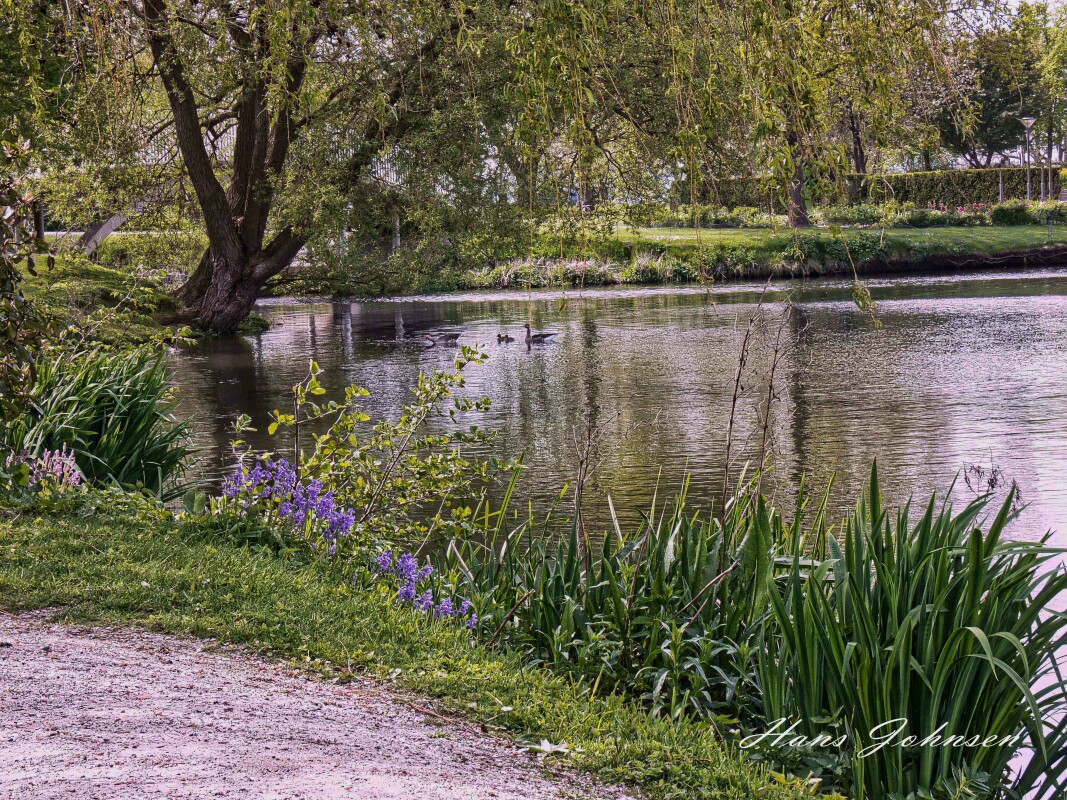 14-5-23    – Hans Johnsen