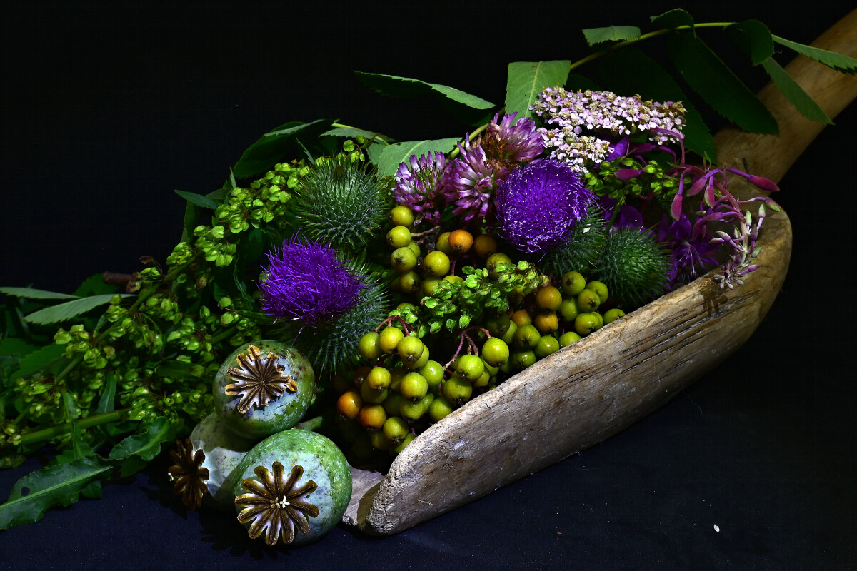 Makro: blomster fra grøften – Diana Riis Hansen