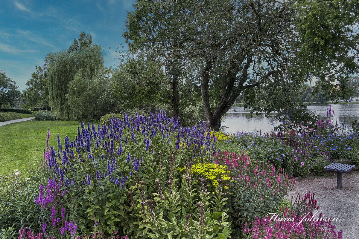 Damparken – Hans Johnsen