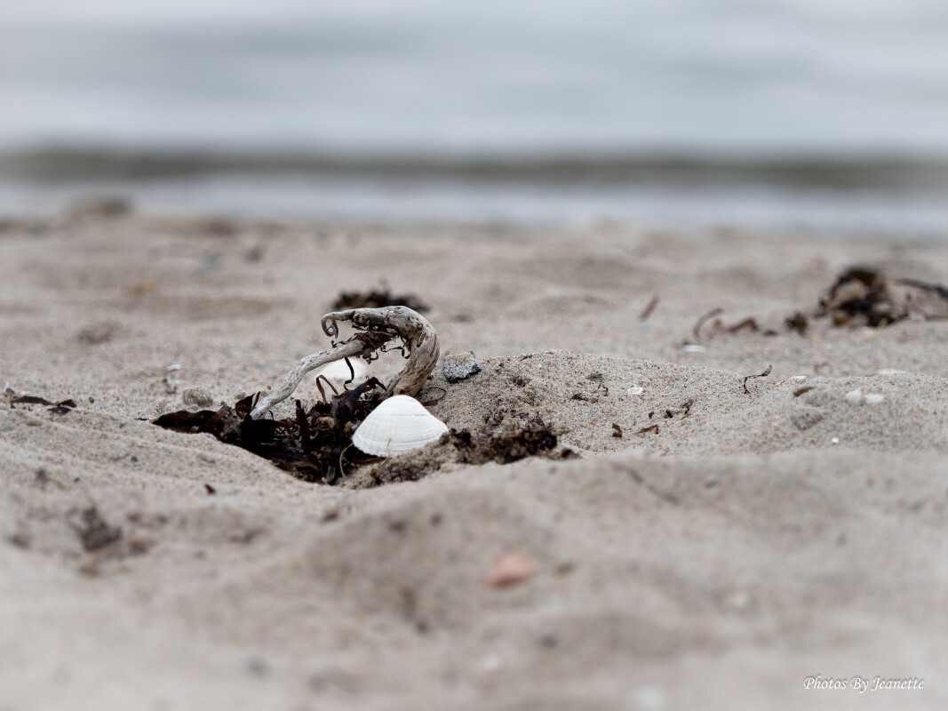 Stranden.. – Jeanette Jensen