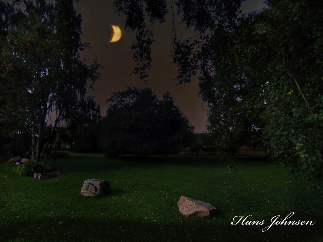 Et sted ved Starup  – Hans Johnsen