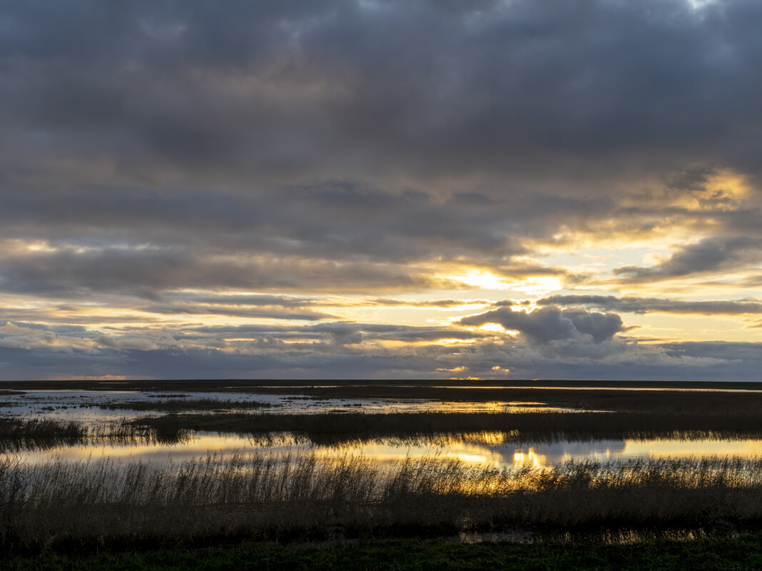 VedHoejerSluse – Lars Højland