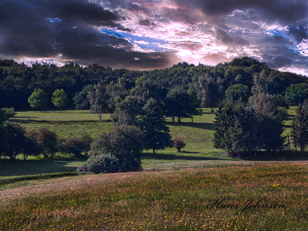 Natur Billedet – Hans Johnsen