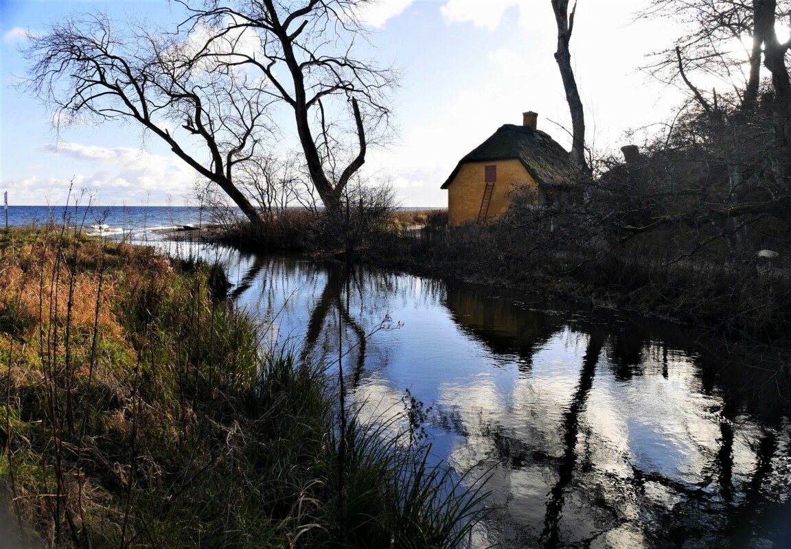 De nøgne træer – Arne Jensen