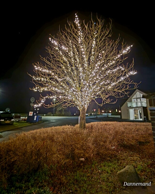 20231219_194615 – Dan Bisgaard Laursen 