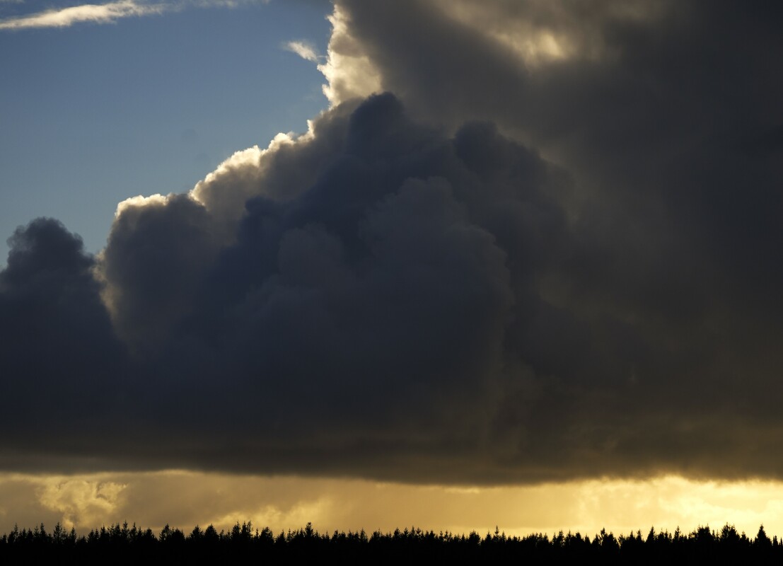 _DSC3514 – René Holst Kristensen