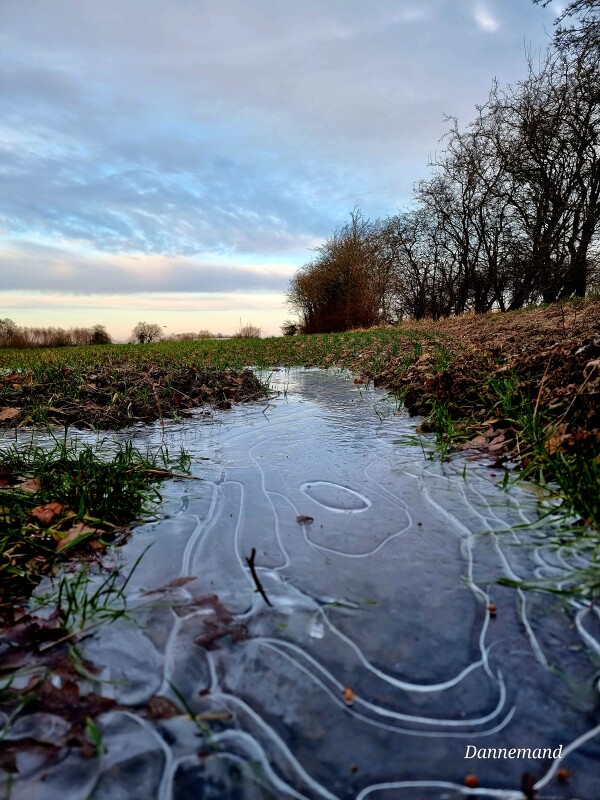 20240106_151243 – Dan Bisgaard Laursen 