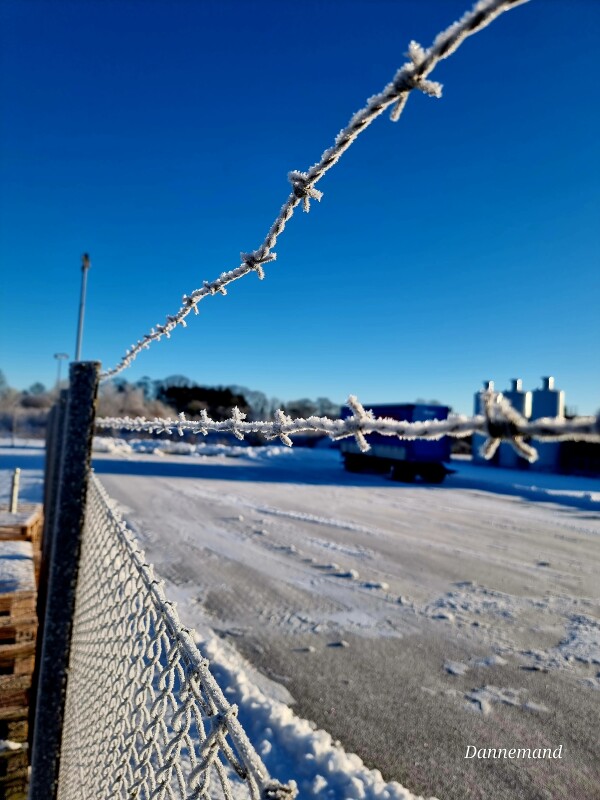 20240118_095653 – Dan Bisgaard Laursen 
