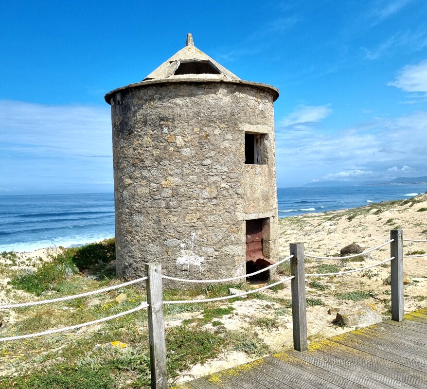Portugisisk vindmølle – Hella Jungquist