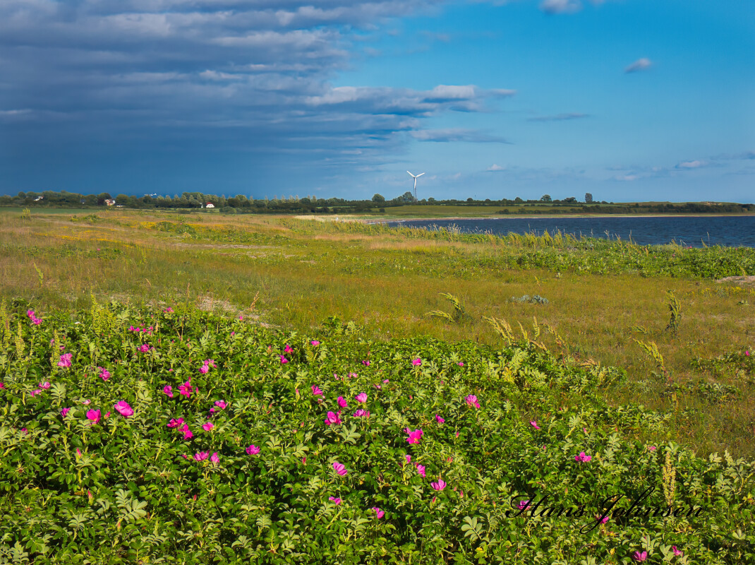 Kelstrup strand  – Hans Johnsen