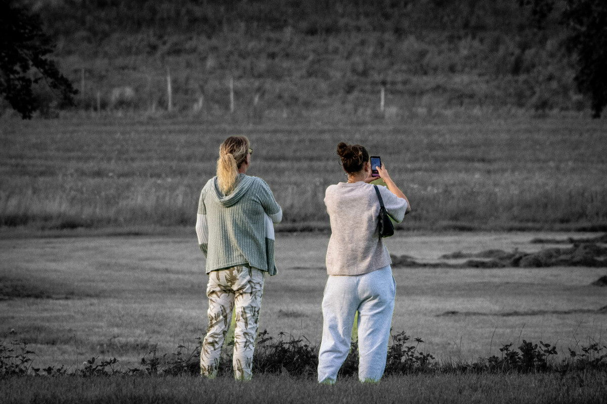 Holder udkig – Ellen Lock Jensen