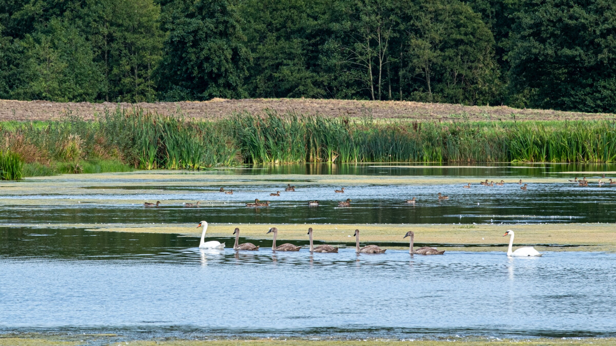 Familie udflugt – Claus Hansen