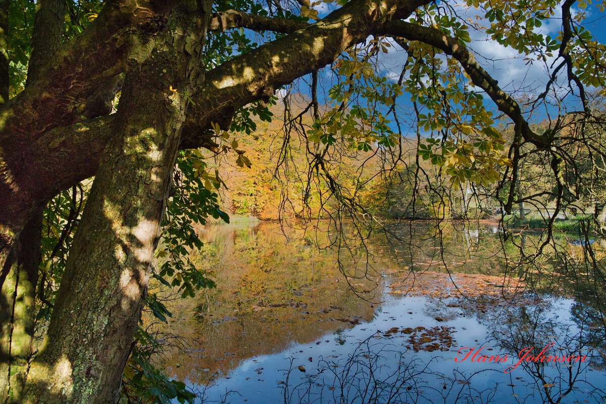 Tørning mølle  5 – Hans Johnsen