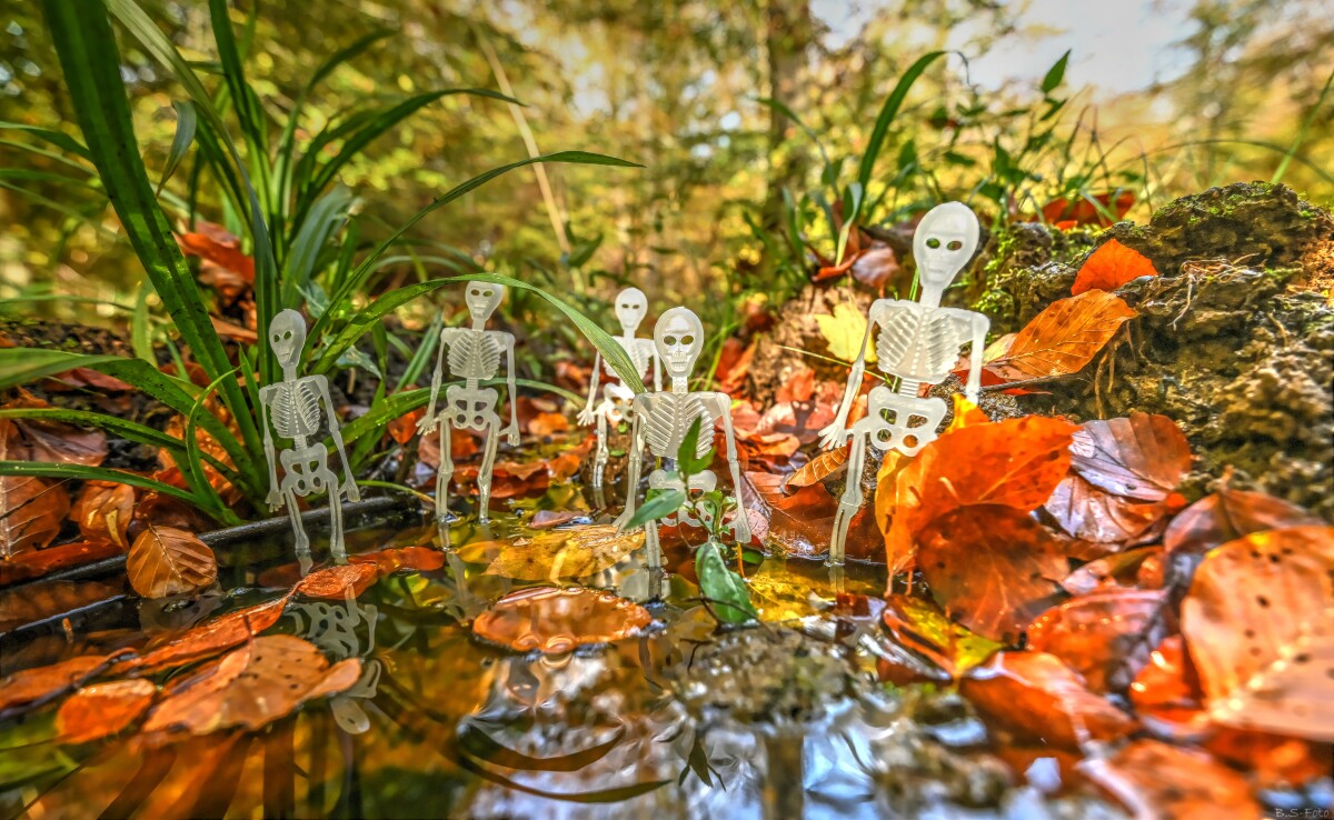 Halloween... – Benthe Sørensen