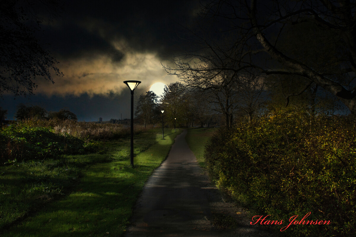 Aftenstund ved store dam  – Hans Johnsen