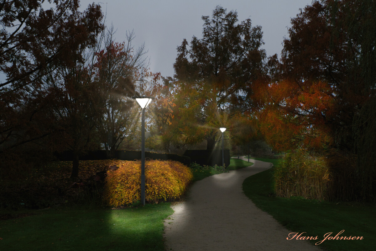 aften motiv i Damparken   – Hans Johnsen