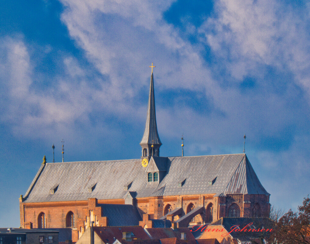 Haderslev Domkirke 2 – Hans Johnsen