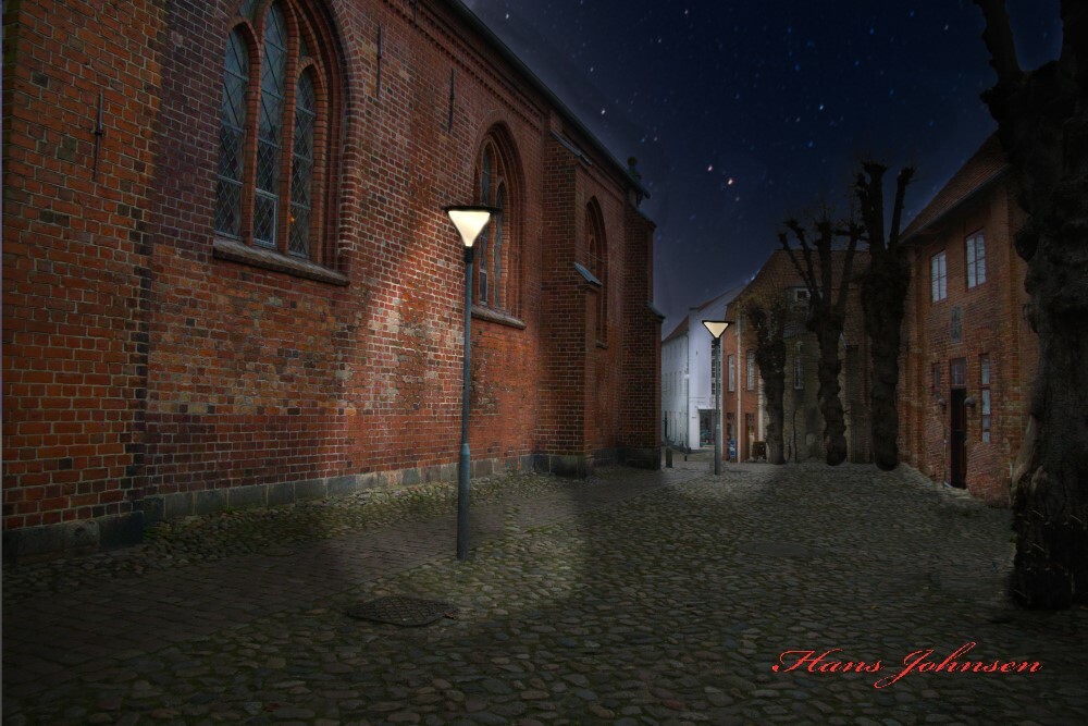 Nat motiv – Hans Johnsen