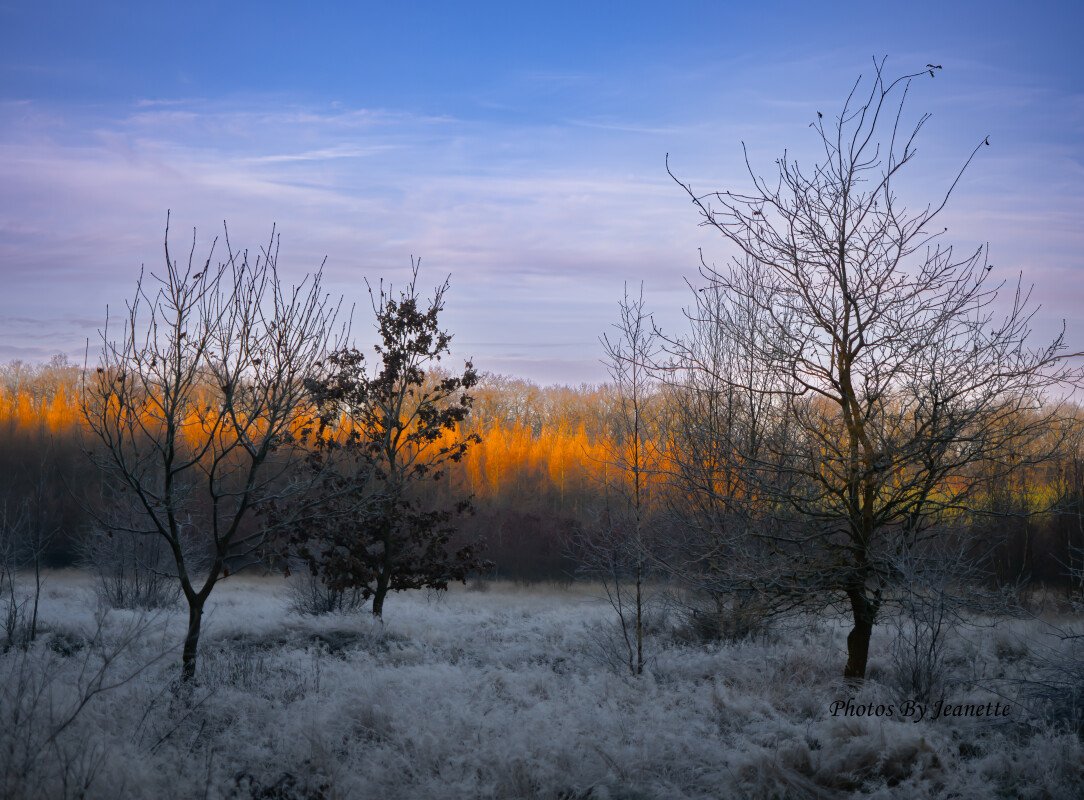 Tidlig morgen... – Jeanette Jensen