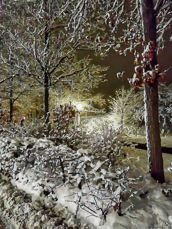 vintermotiv  – Hans Johnsen