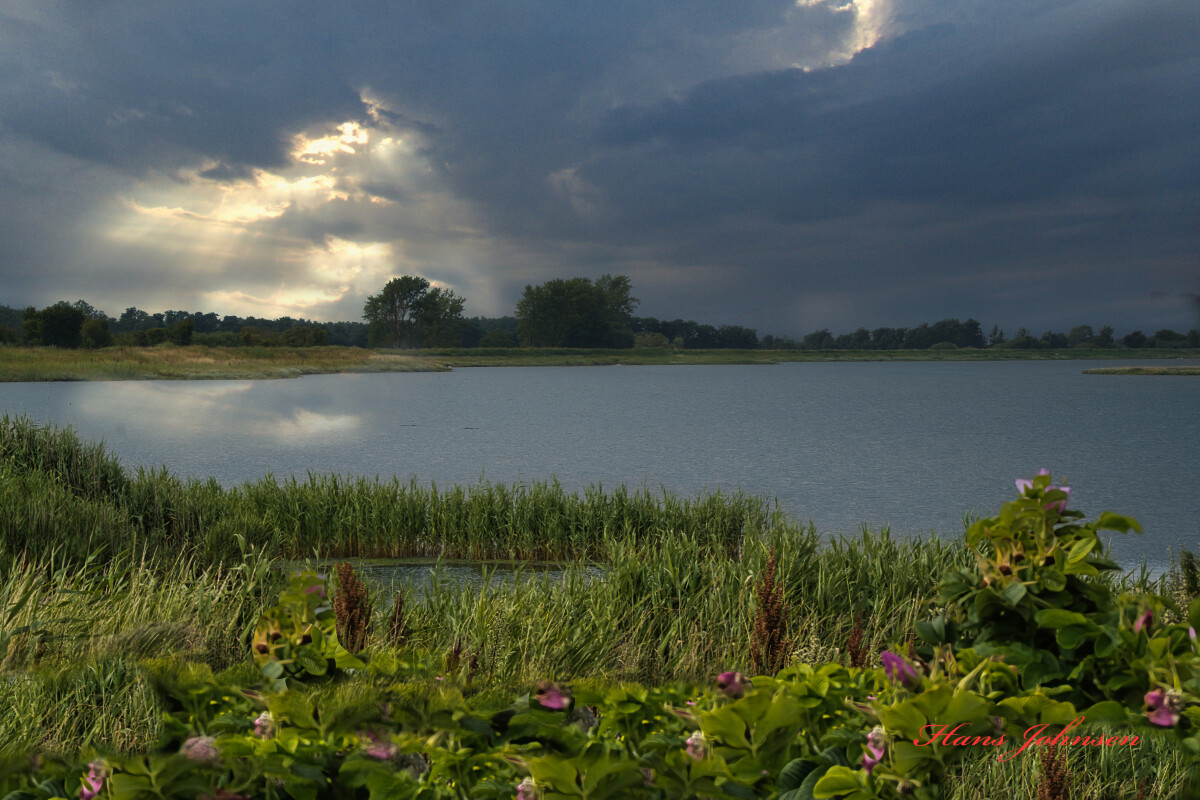 Et sommer motiv fra Årø – Hans Johnsen