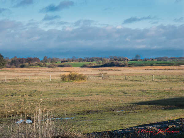 Ved Kelstrup strand 23-12-24