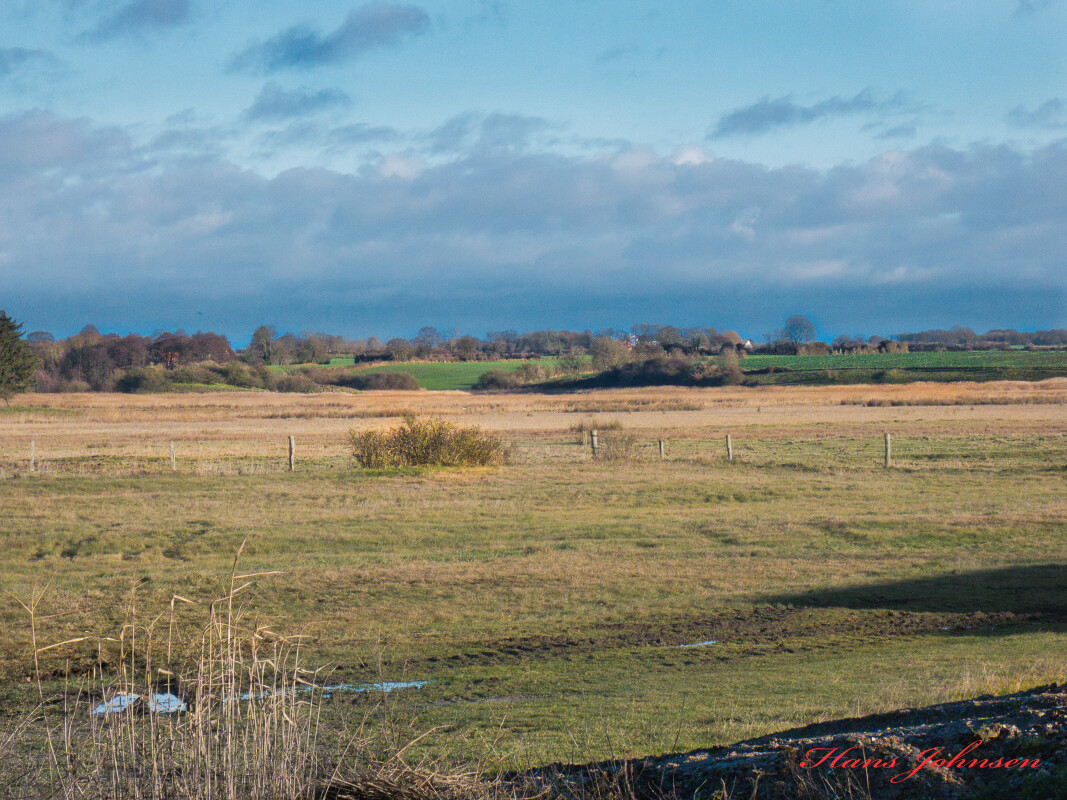 Ved Kelstrup strand 23-12-24 – Hans Johnsen