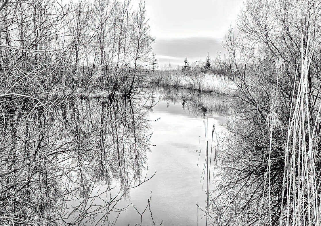 En tur i Tinglevmose  – Hans Ejvind Nissen
