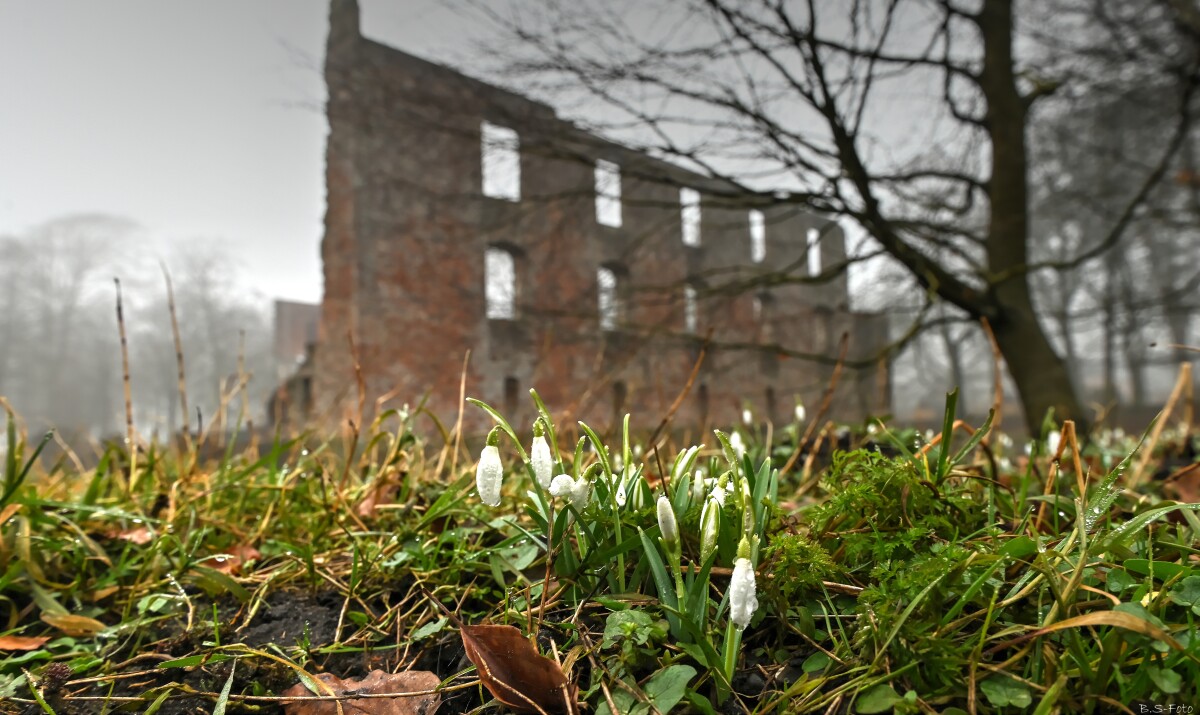 Trøjborg Slotsruin – Benthe Sørensen