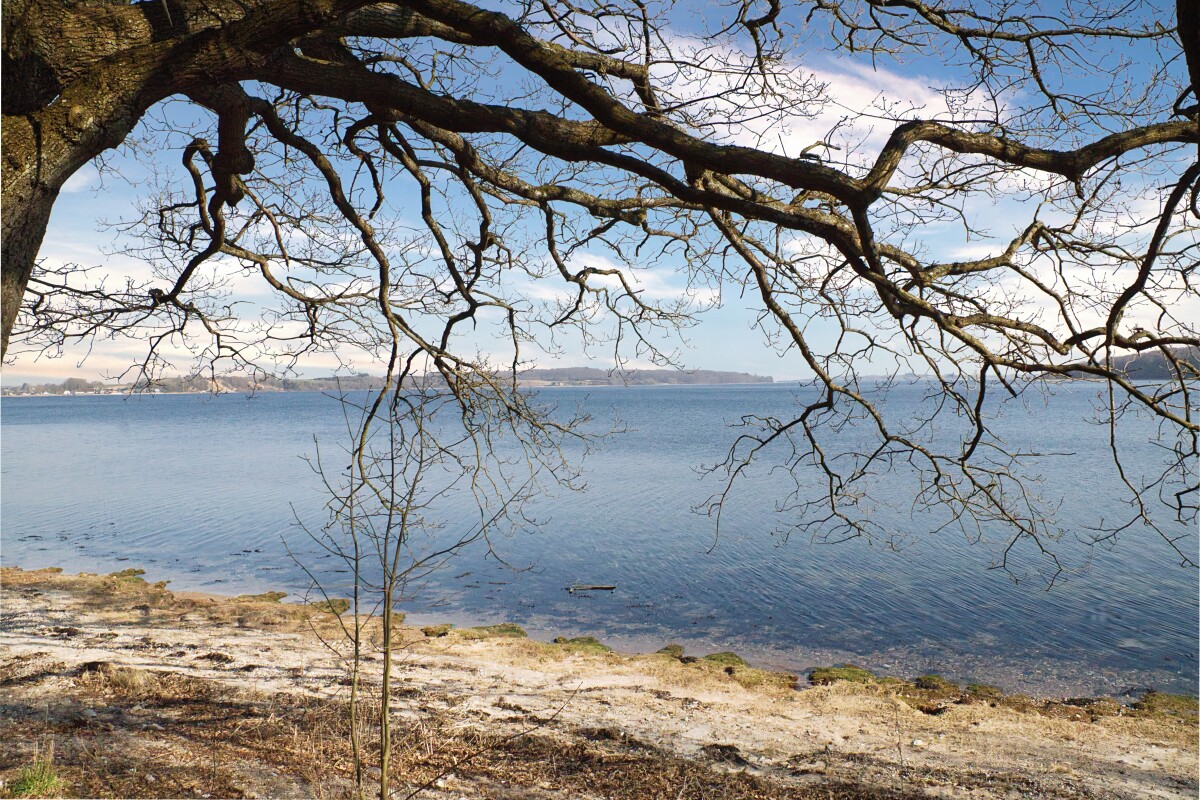 Kalvø 7-3-25 – Hans Johnsen