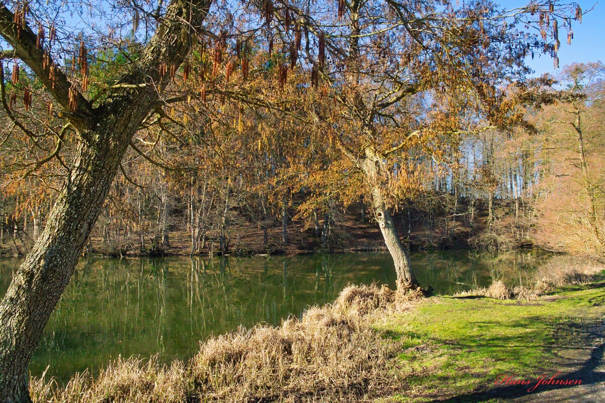 Tørning mølle – Hans Johnsen