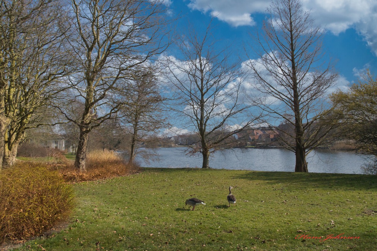 Damparken i Haderslev  – Hans Johnsen
