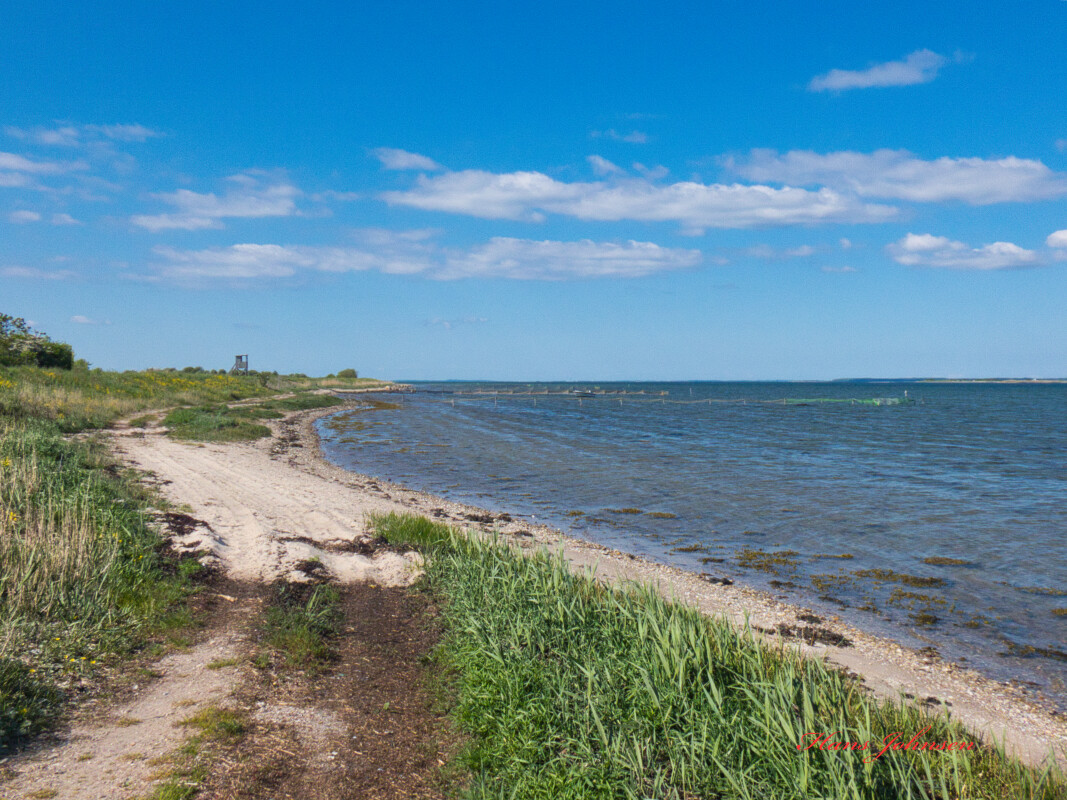 ved Stranden på Årø – Hans Johnsen
