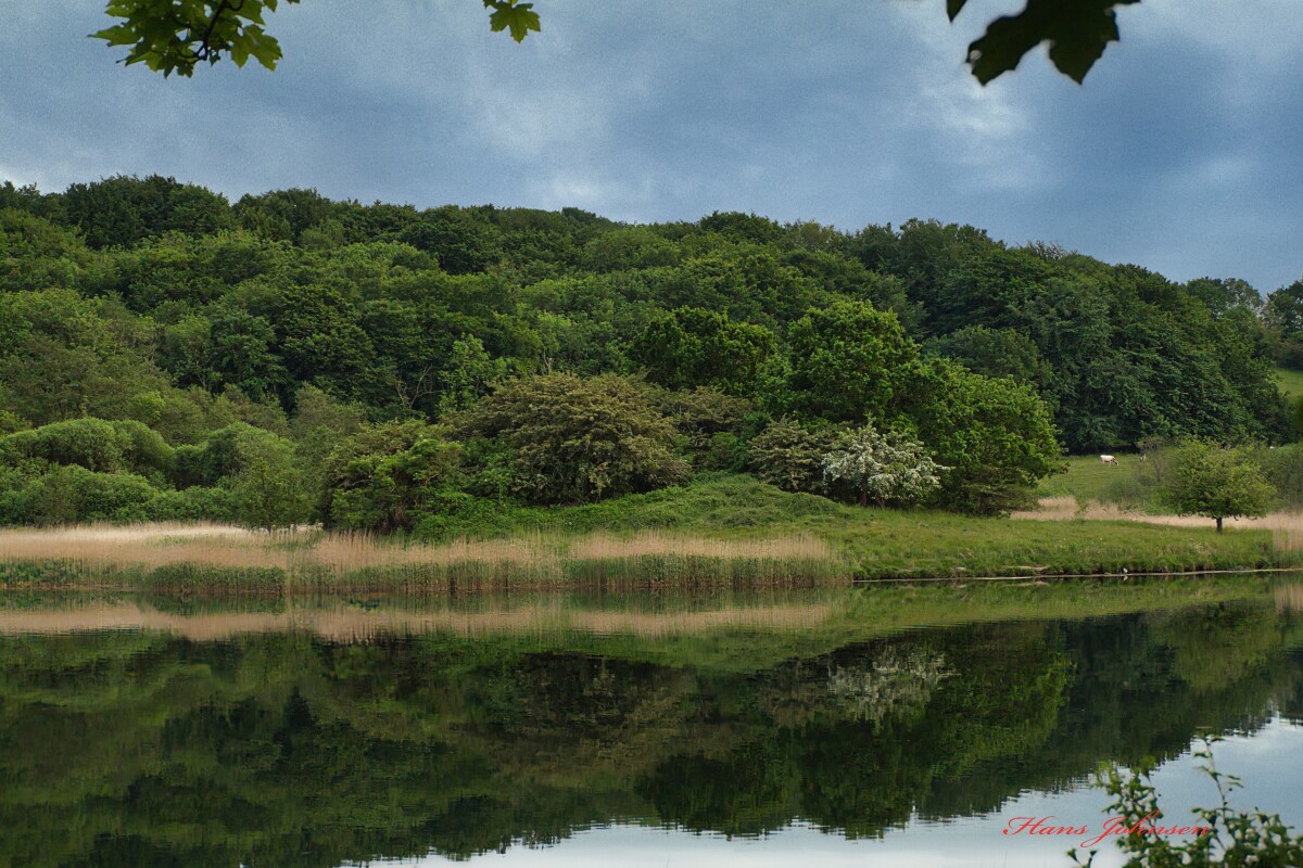 natur Kalvø  – Hans Johnsen