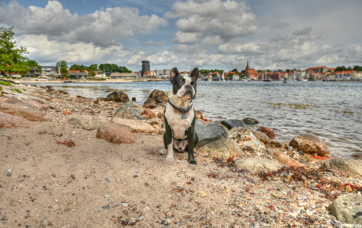Otto.. – Benthe Sørensen