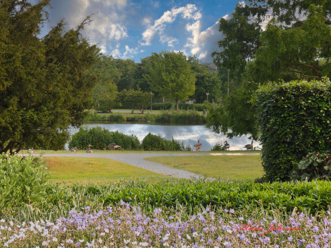 Damparken – Hans Johnsen