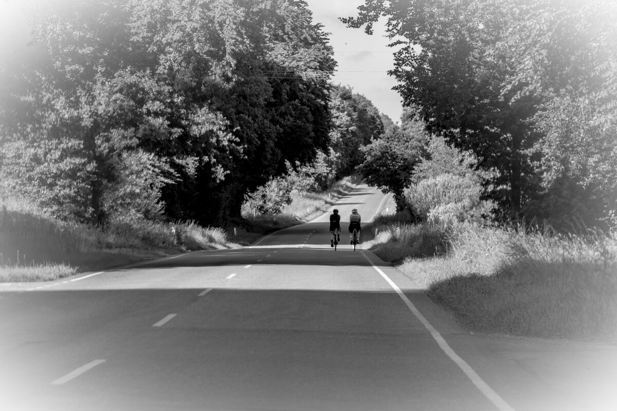 Cykeltur – Ellen Lock Jensen