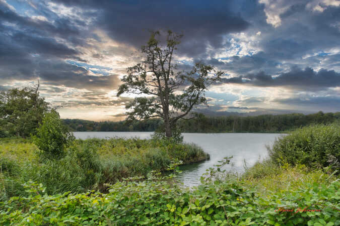 Ved Gråsten 
