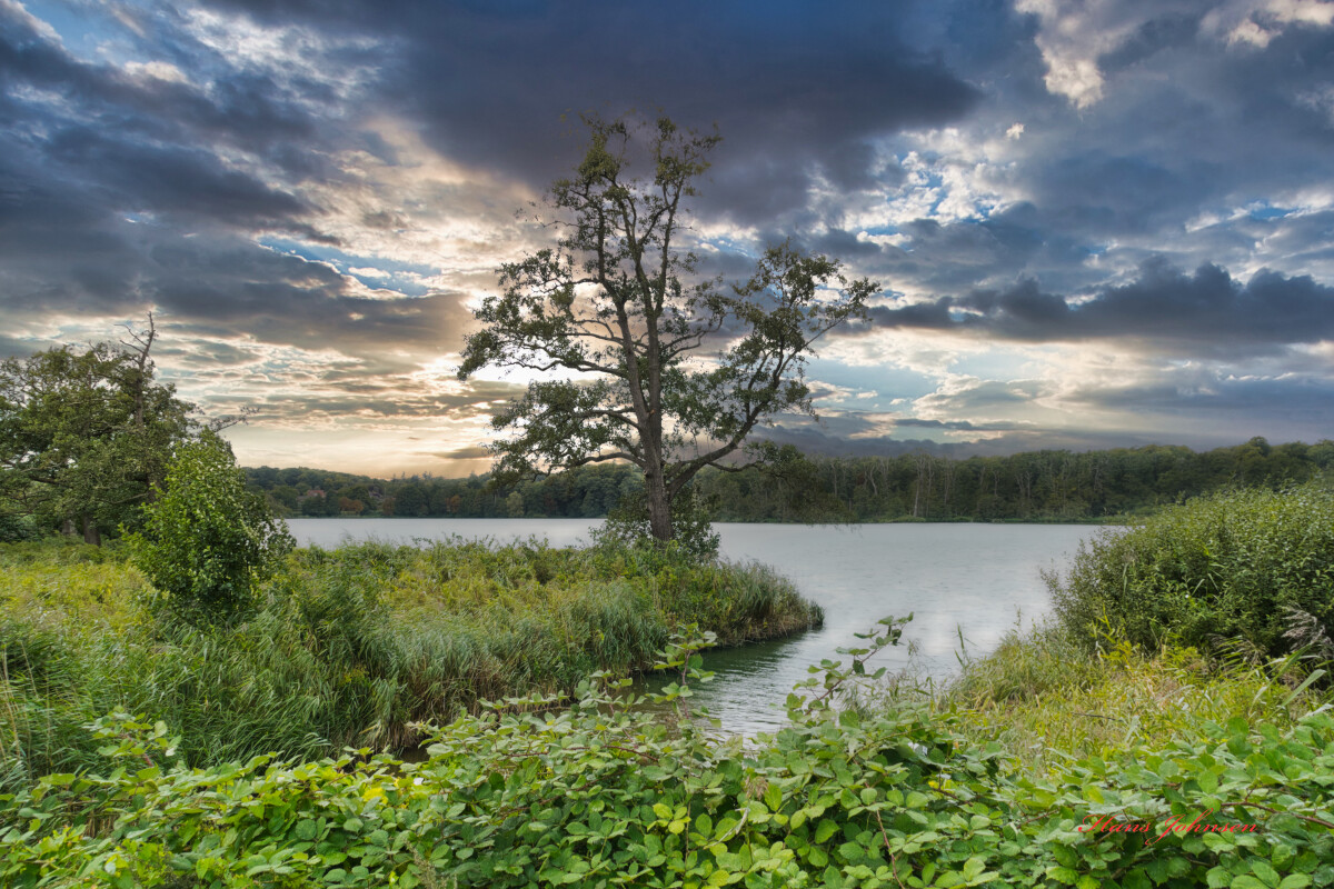 Ved Gråsten  – Hans Johnsen