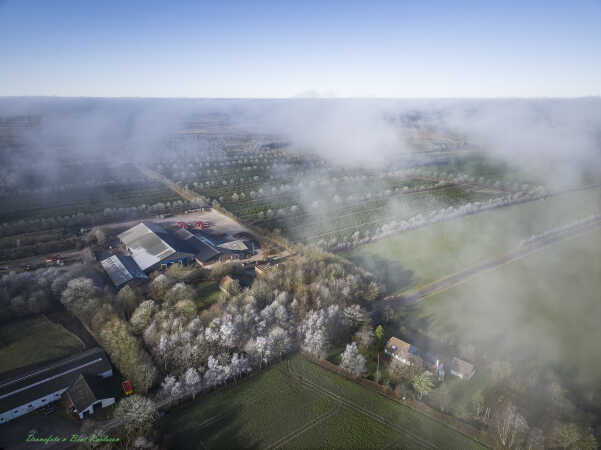 2025 jan 19 rimfrost skyer Brøndlund højgårdsvej 9 (8)-SharpenAI-Focus