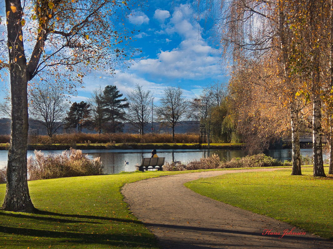 Damparken  – Hans Johnsen