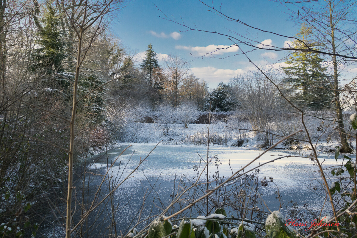 et vinter motiv Taget 4-1-26 – Hans Johnsen