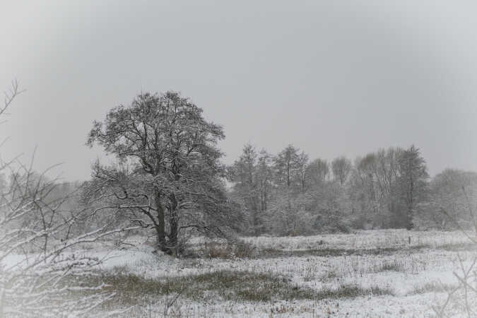 Sne i Bylderup-Bov 