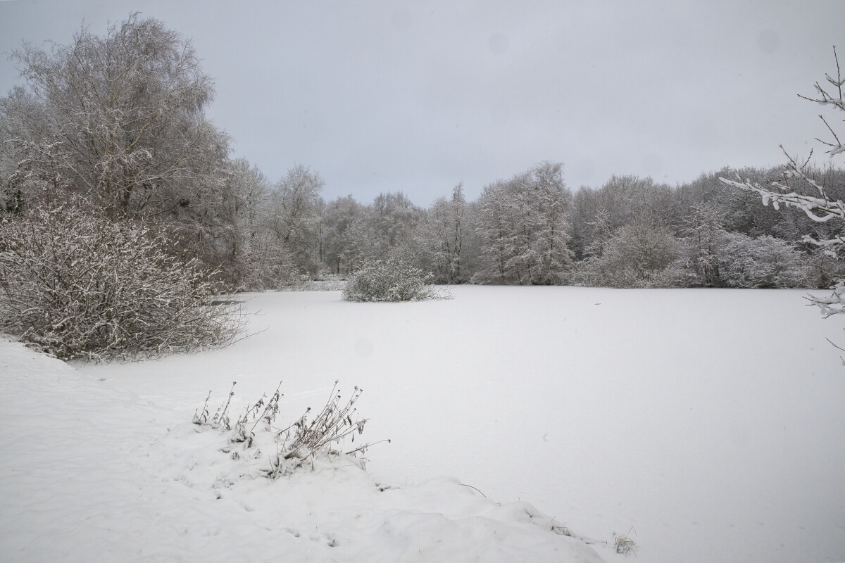 et vinter billede fra en lille sø  – Hans Ejvind Nissen