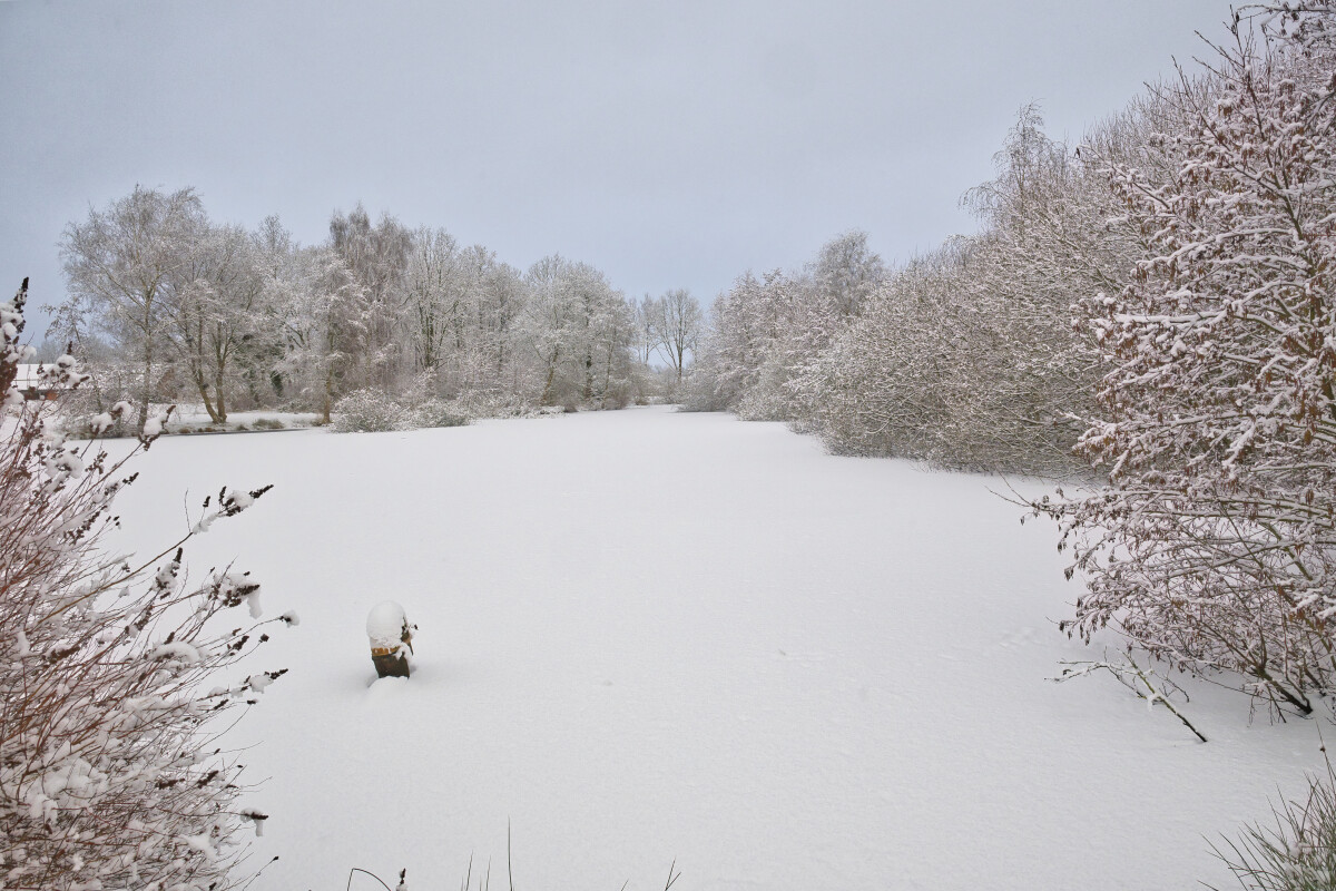 et vinter billede fra en lille sø  – Hans Ejvind Nissen