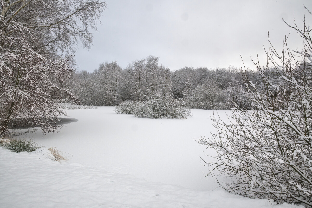 et vinter billede fra en lille sø  – Hans Ejvind Nissen