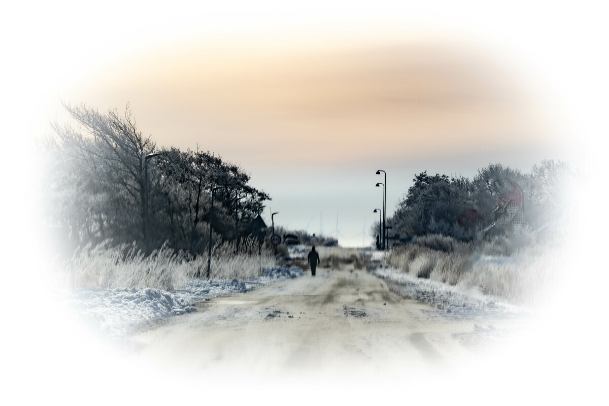 Sne – Ellen Lock Jensen