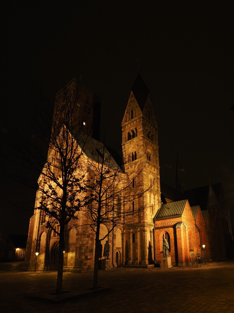 2025 dec 12 Ribe domkirke julesmykket (10) – Bent Karlsson