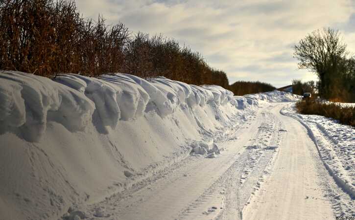 Snevej...