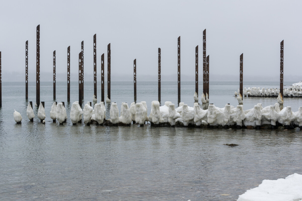 _MG_1325 Østerstrand – Lars Barløse